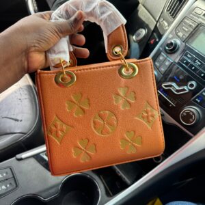 BAG ASHER